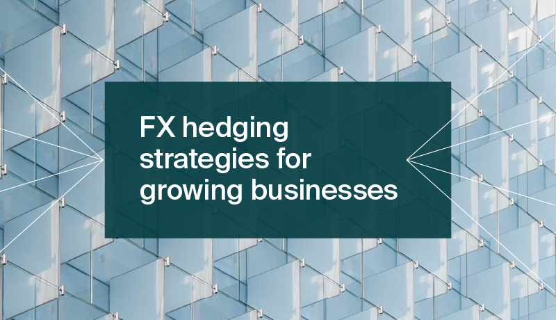 FX Hedging Strategies for growing businesses